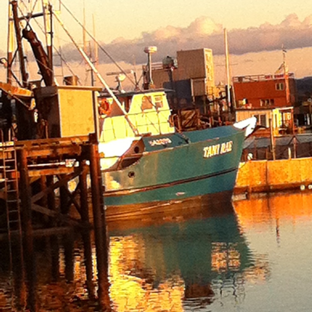 Meet your Posher, Judy